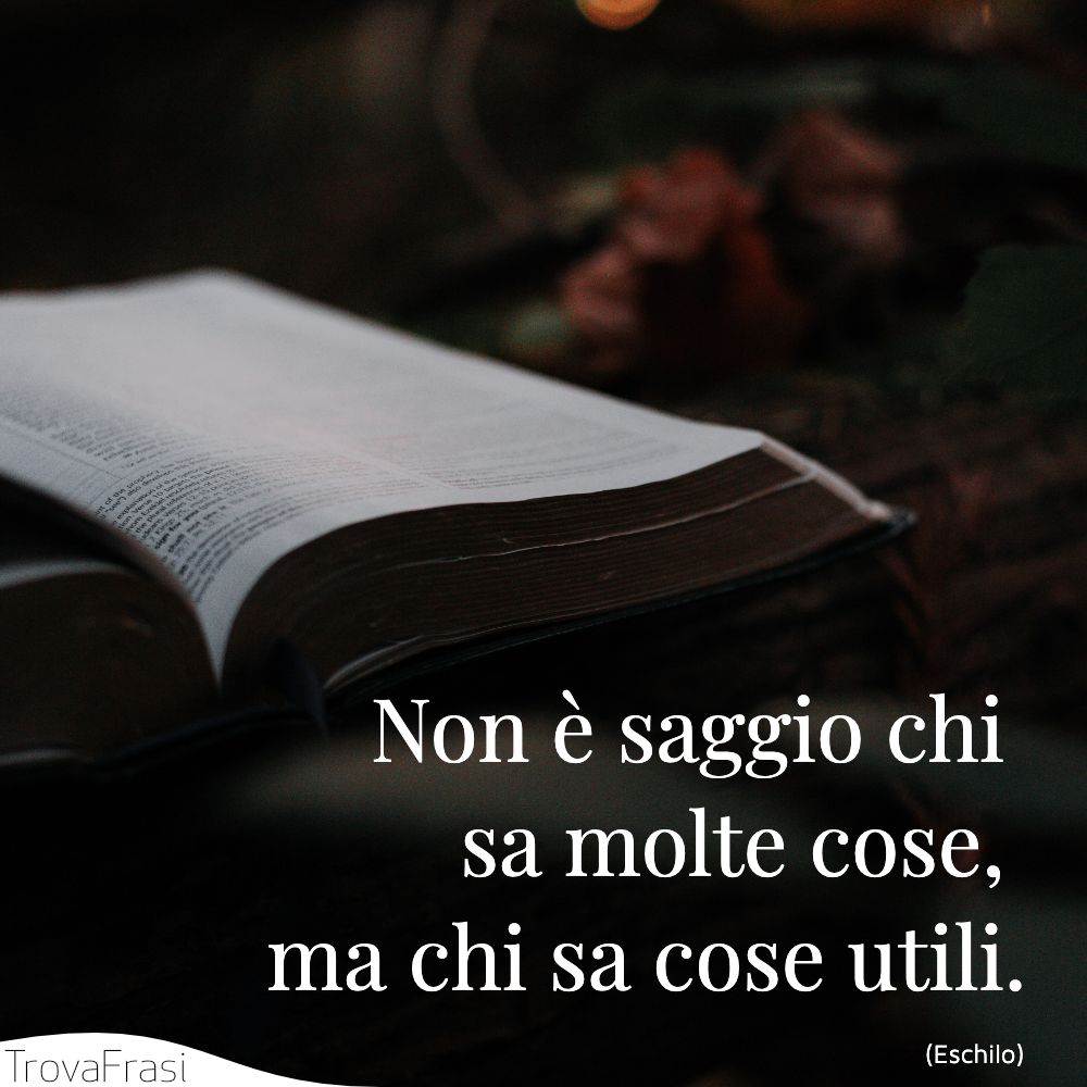 Non è saggio chi sa molte cose, ma chi sa cose utili.