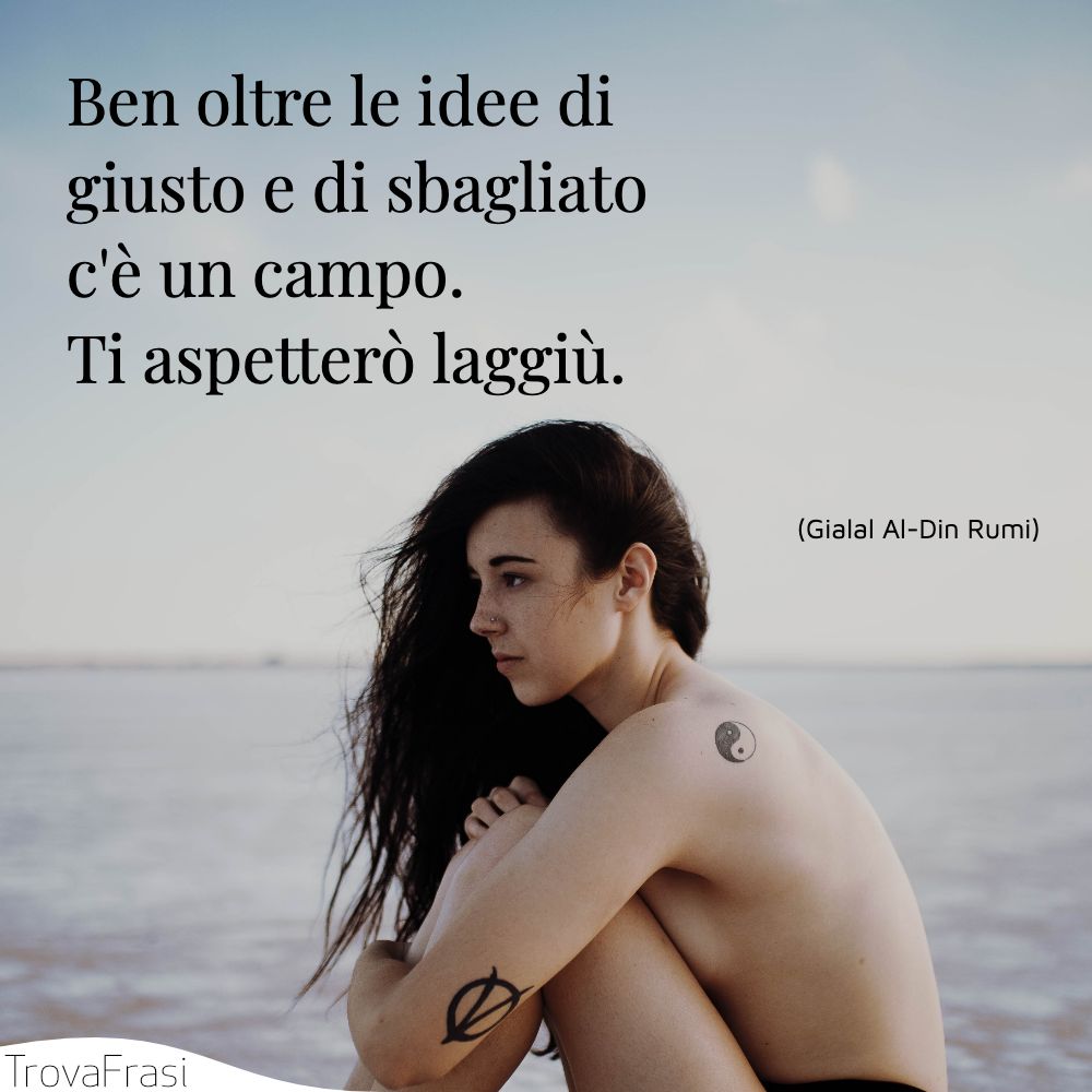 Ben oltre le idee di giusto e di sbagliato c'è un campo. Ti aspetterò laggiù.