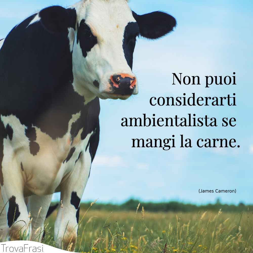 Non puoi considerarti ambientalista se mangi la carne.