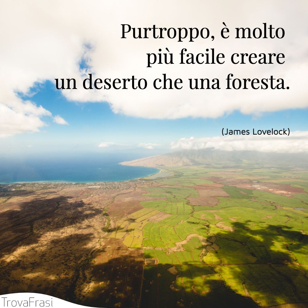 Purtroppo, è molto più facile creare un deserto che una foresta.