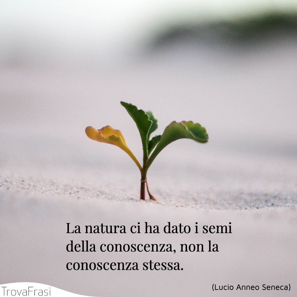 La natura ci ha dato i semi della conoscenza, non la conoscenza stessa.