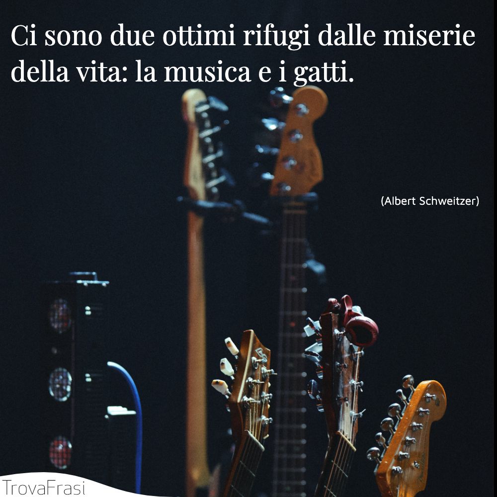 Ci sono due ottimi rifugi dalle miserie della vita: la musica e i gatti.