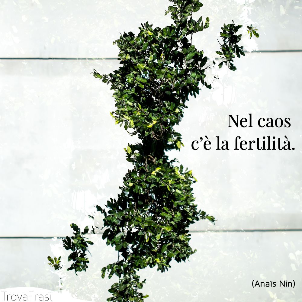 Nel caos c’è la fertilità.