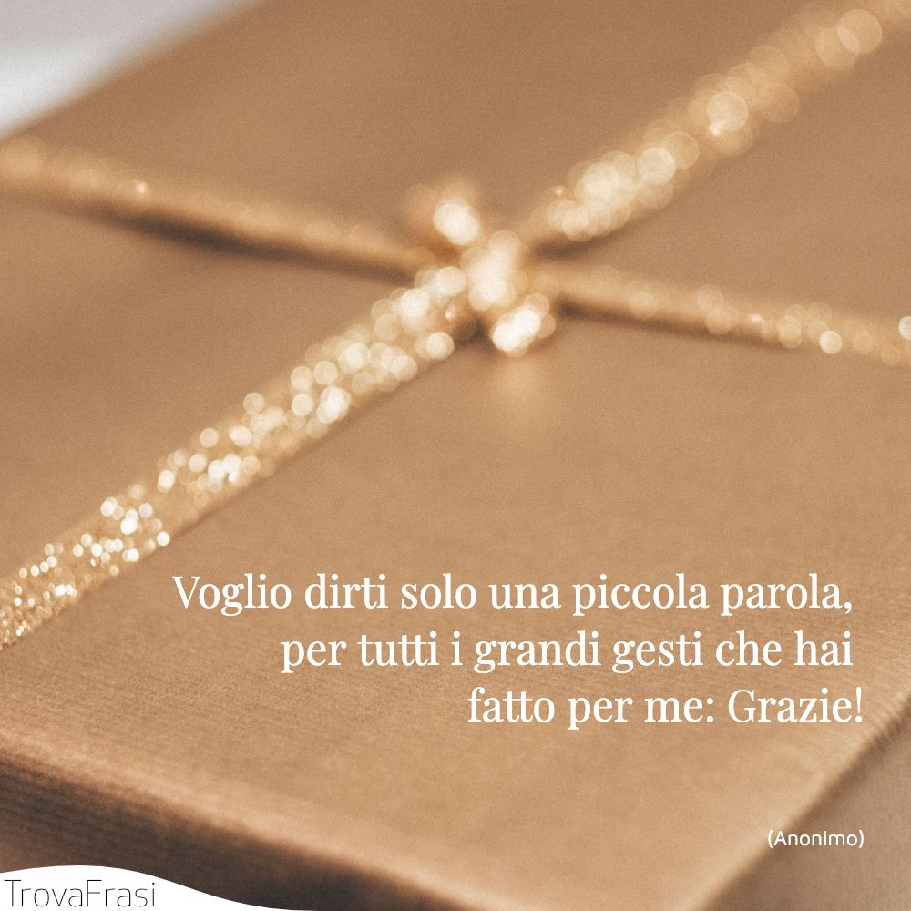 Voglio dirti solo una piccola parola, per tutti i grandi gesti che hai fatto per me: Grazie!
