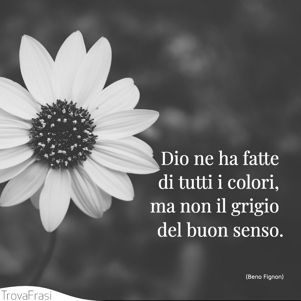 Dio ne ha fatte di tutti i colori, ma non il grigio del buon senso.