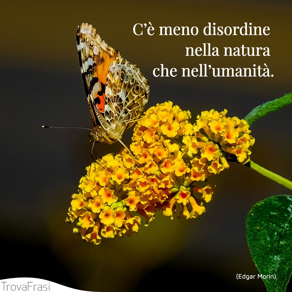 C’è meno disordine nella natura che nell’umanità.