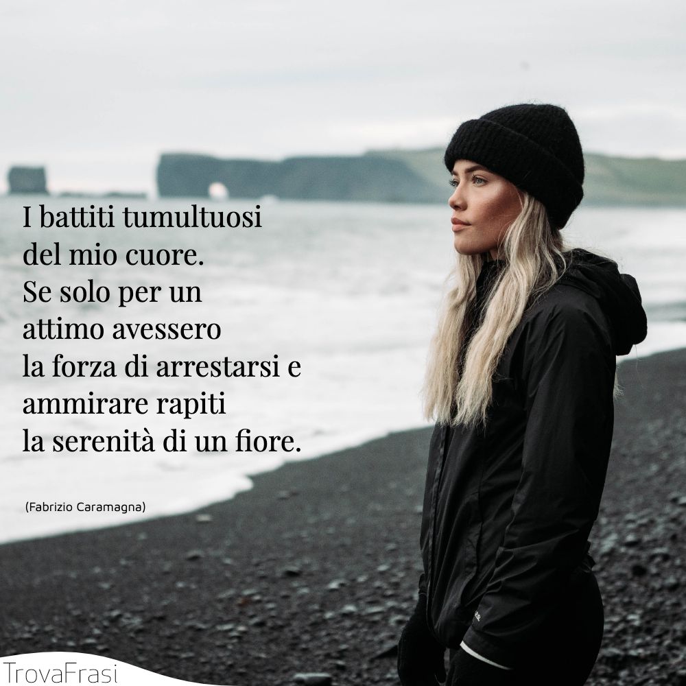 I battiti tumultuosi del mio cuore. Se solo per un attimo avessero la forza di arrestarsi e ammirare rapiti la serenità di un fiore.
