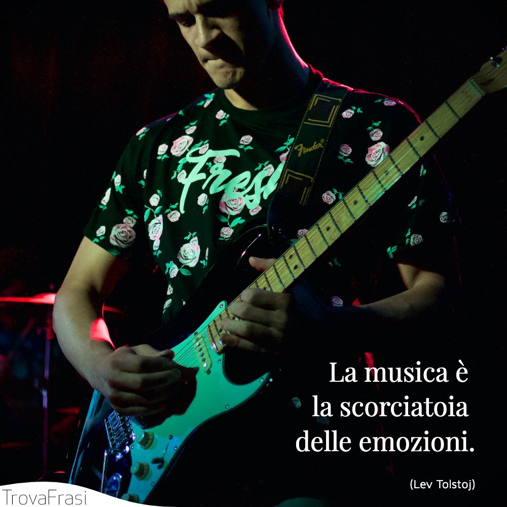 La musica è la scorciatoia delle emozioni.