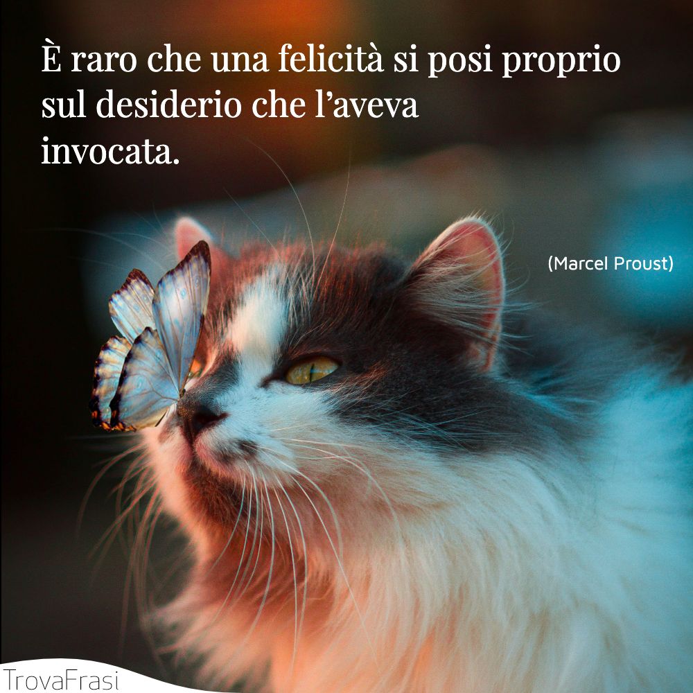 È raro che una felicità si posi proprio sul desiderio che l’aveva invocata.