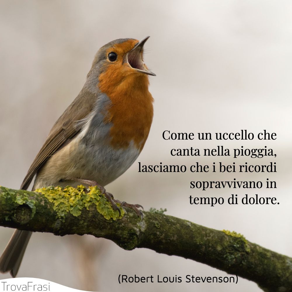 Come un uccello che canta nella pioggia, lasciamo che i bei ricordi sopravvivano in tempo di dolore.