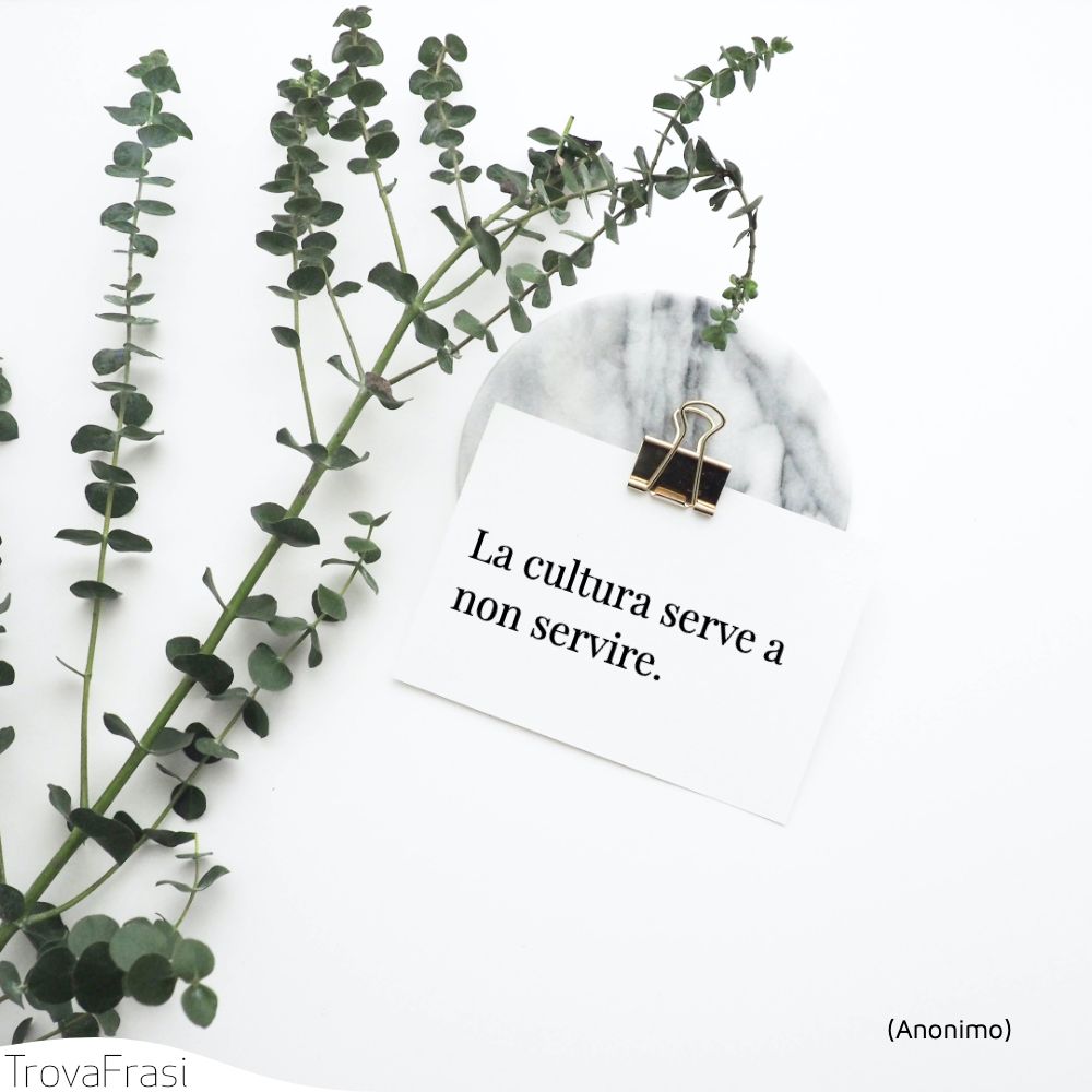 La cultura serve a non servire.