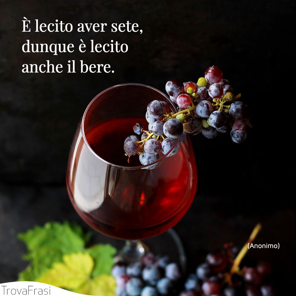 È lecito aver sete, dunque è lecito anche il bere.