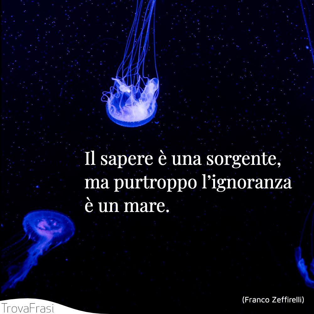Il sapere è una sorgente, ma purtroppo l’ignoranza è un mare.