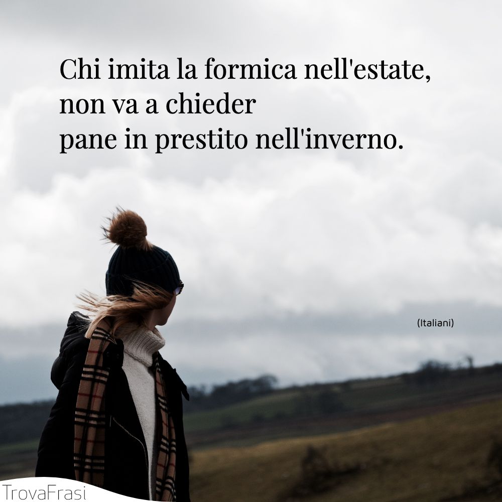 Chi imita la formica nell'estate, non va a chieder pane in prestito nell'inverno.