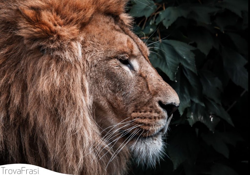 per trovare il coraggio