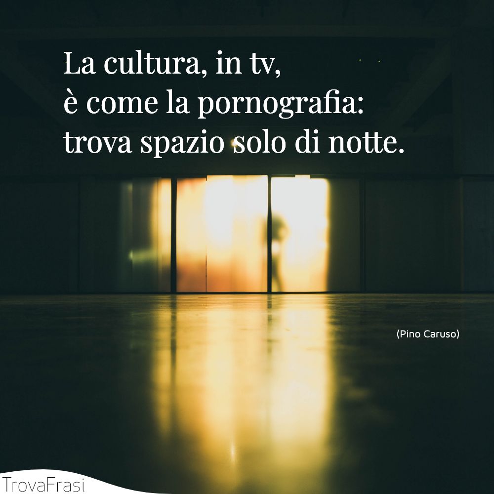 La cultura, in tv, è come la pornografia: trova spazio solo di notte.