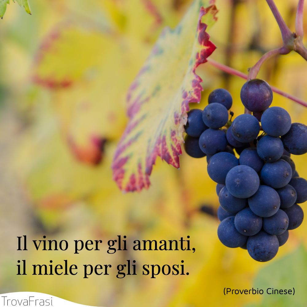 Il vino per gli amanti, il miele per gli sposi.