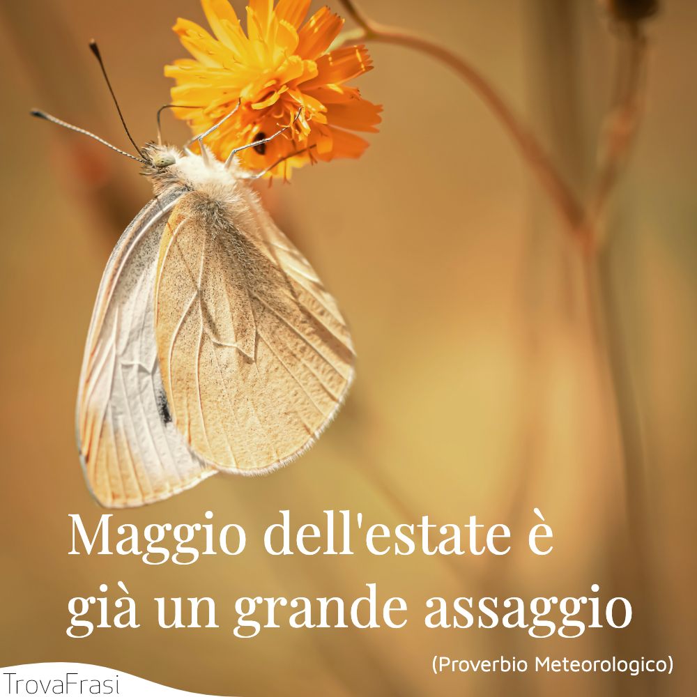 Maggio dell'estate è già un grande assaggio