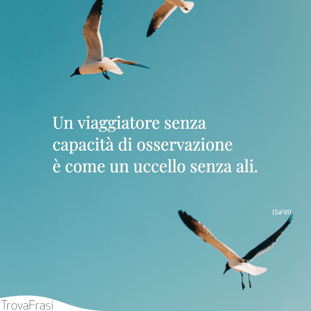 Un viaggiatore senza capacità di osservazione è come un uccello senza ali.