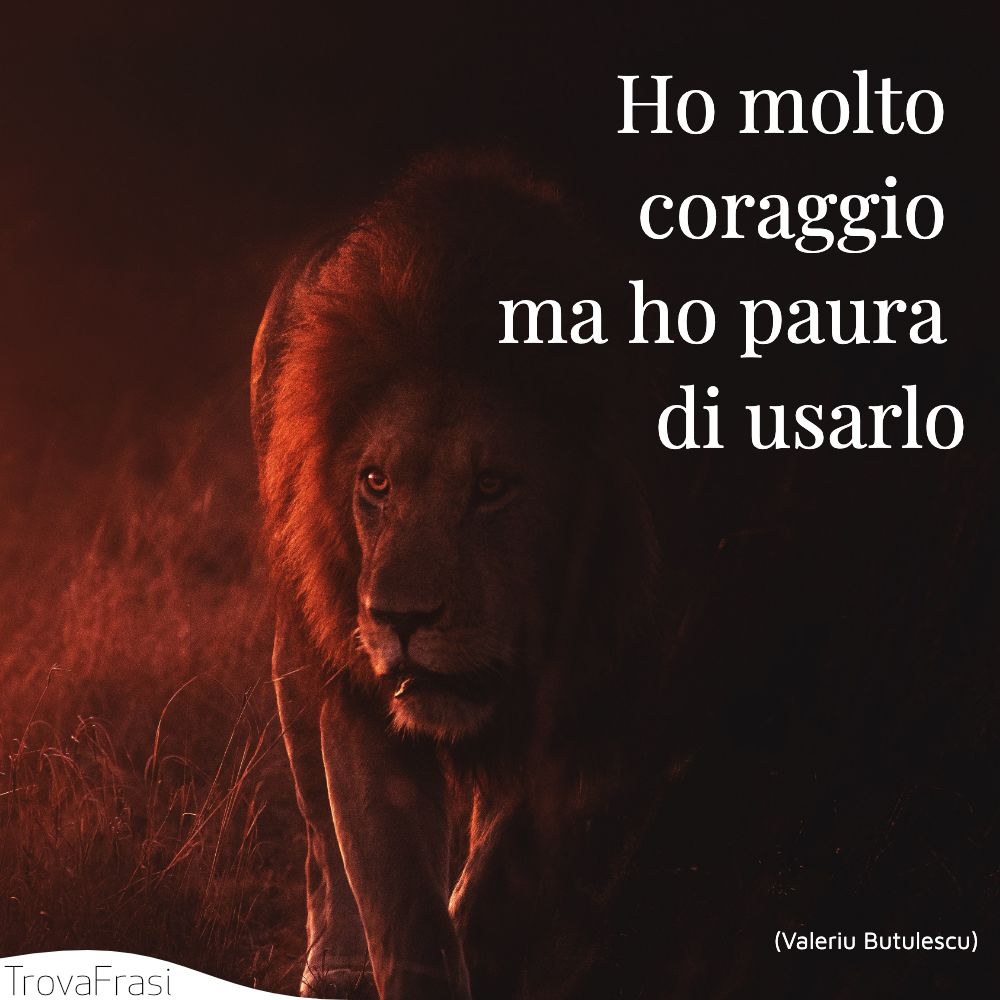 Ho molto coraggio ma ho paura di usarlo