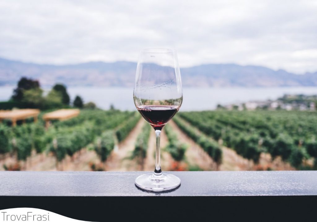 vinello e vino (cibo)