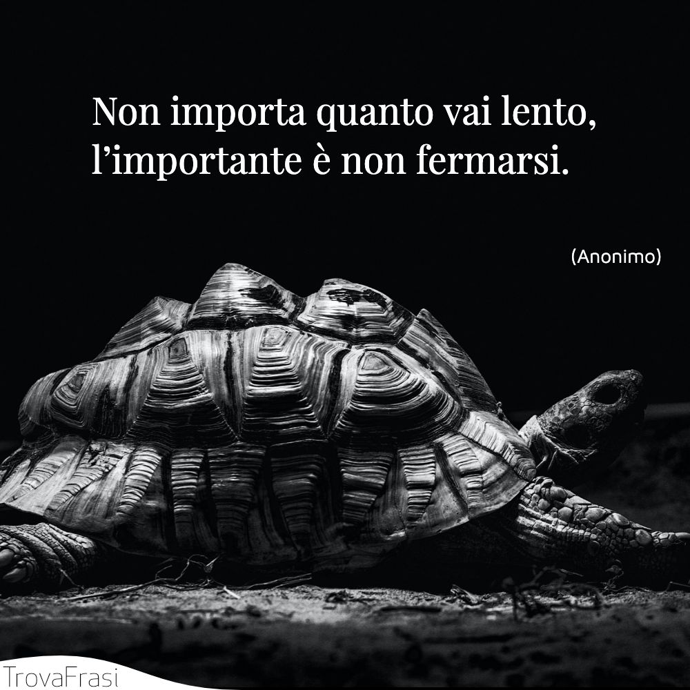 Non importa quanto vai lento, l’importante è non fermarsi.