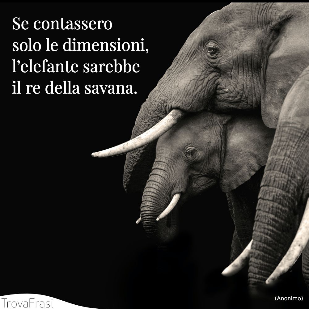 Se contassero solo le dimensioni, l’elefante sarebbe il re della savana.
