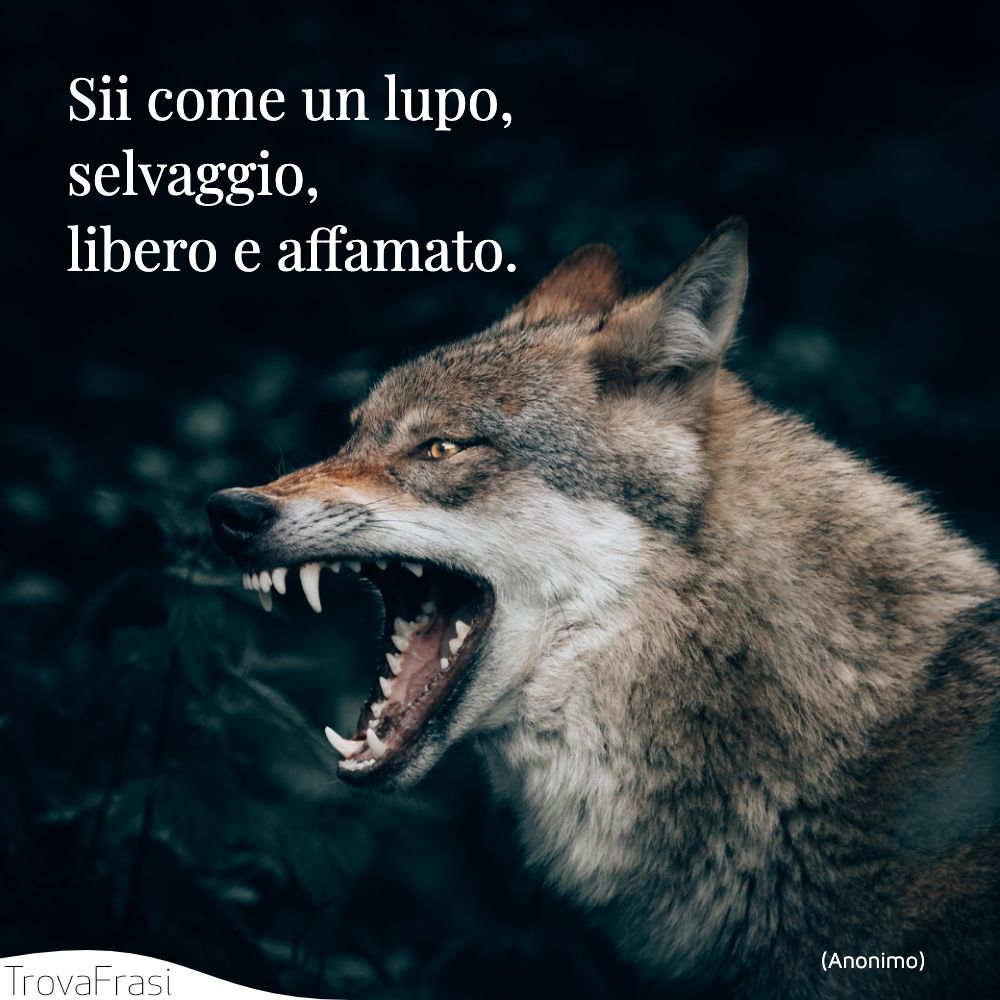 Sii come un lupo, selvaggio, libero e affamato.