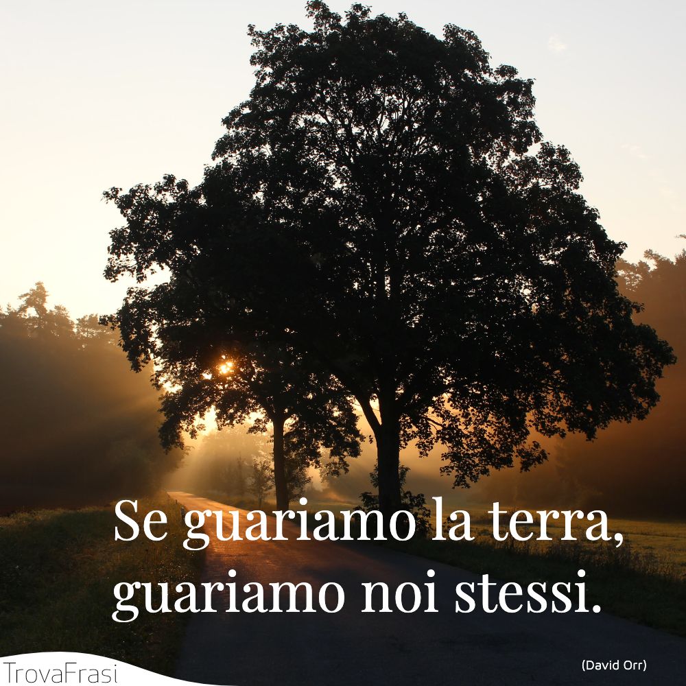 Se guariamo la terra, guariamo noi stessi.