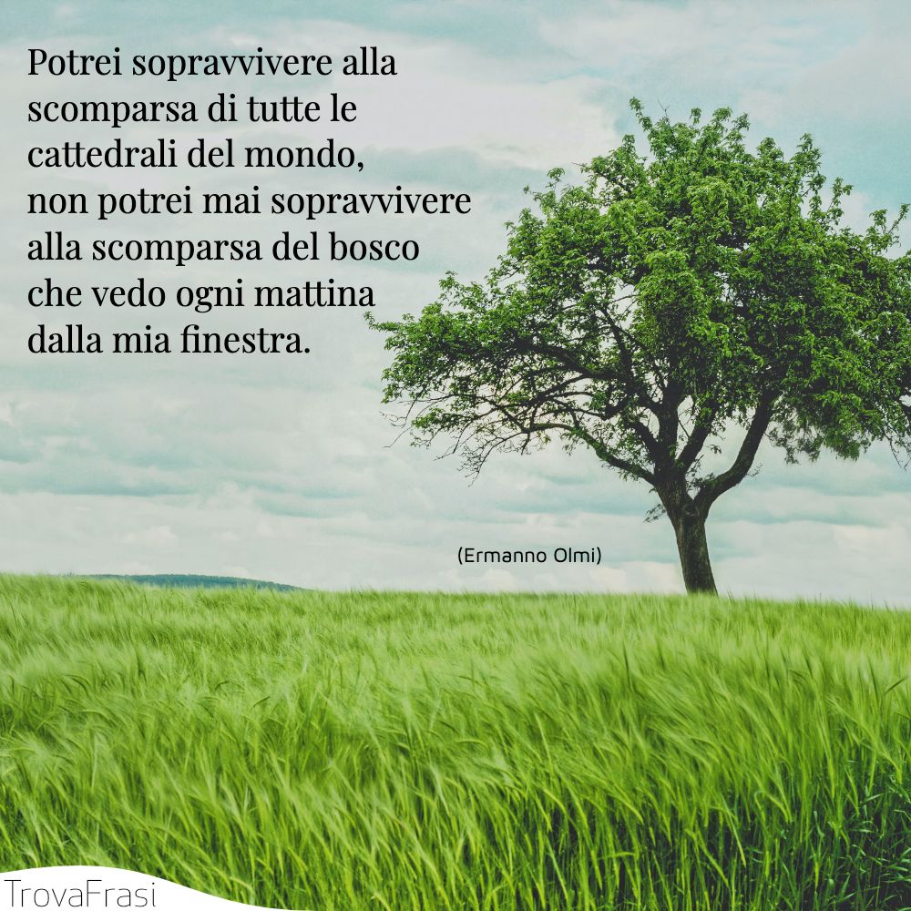 Potrei sopravvivere alla scomparsa di tutte le cattedrali del mondo, non potrei mai sopravvivere alla scomparsa del bosco che vedo ogni mattina dalla mia finestra.