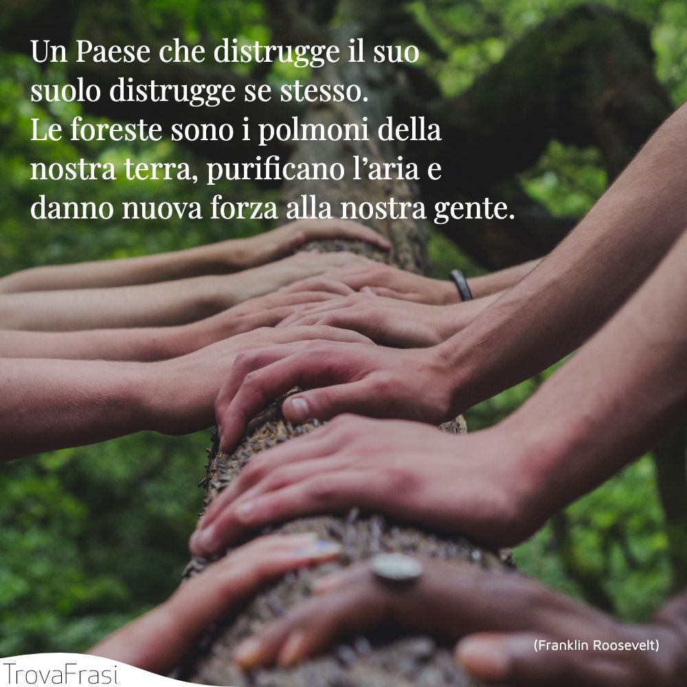 Un Paese che distrugge il suo suolo distrugge se stesso. Le foreste sono i polmoni della nostra terra, purificano l’aria e danno nuova forza alla nostra gente.