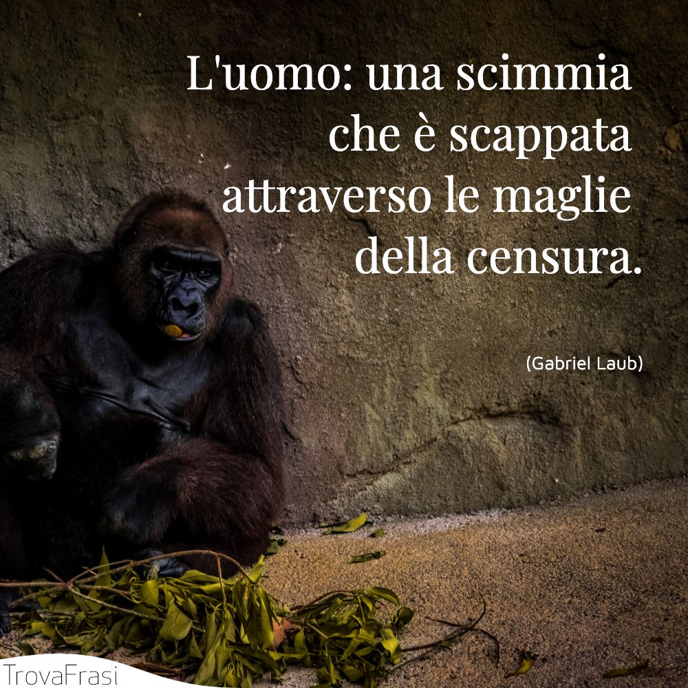 L'uomo: una scimmia che è scappata attraverso le maglie della censura.
