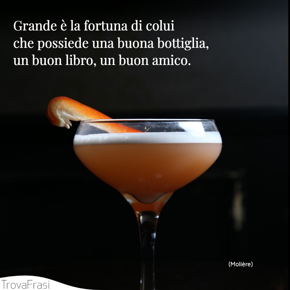 Grande è la fortuna di colui che possiede una buona bottiglia, un buon libro, un buon amico.