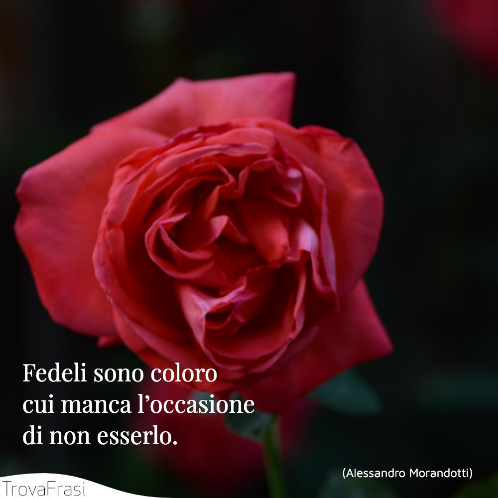 Fedeli sono coloro cui manca l’occasione di non esserlo.