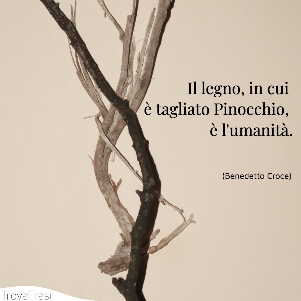 Il legno, in cui è tagliato Pinocchio, è l'umanità.
