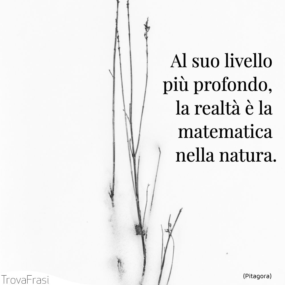 Al suo livello più profondo, la realtà è la matematica nella natura.