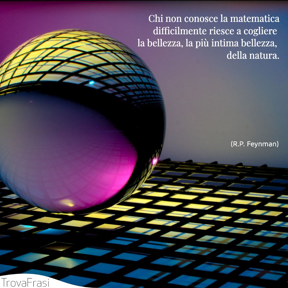Chi non conosce la matematica difficilmente riesce a cogliere la bellezza, la più intima bellezza, della natura.