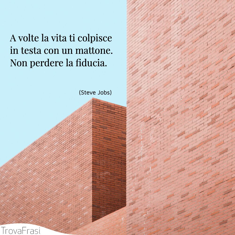 A volte la vita ti colpisce in testa con un mattone. Non perdere la fiducia.
