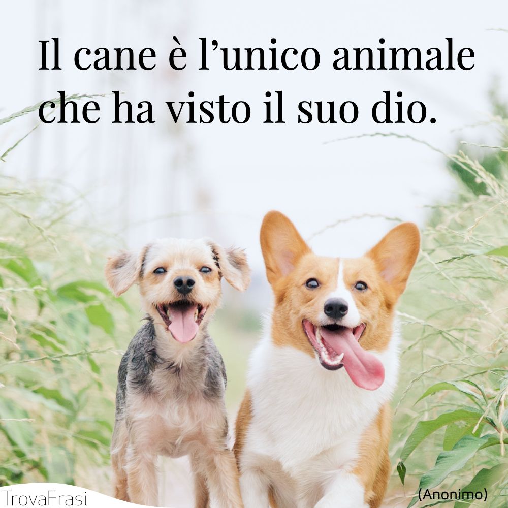Il cane è l’unico animale che ha visto il suo dio.