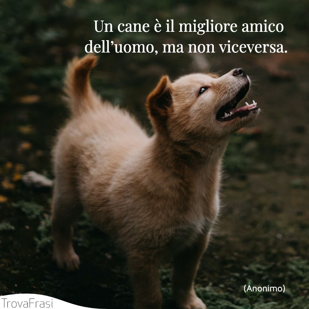 Un cane è il migliore amico dell’uomo, ma non viceversa.