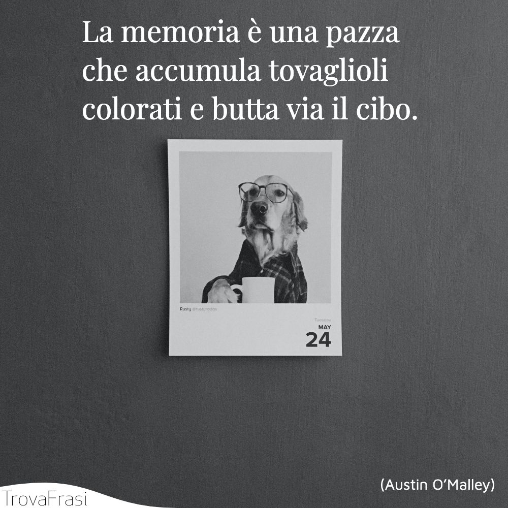 La memoria è una pazza che accumula tovaglioli colorati e butta via il cibo.