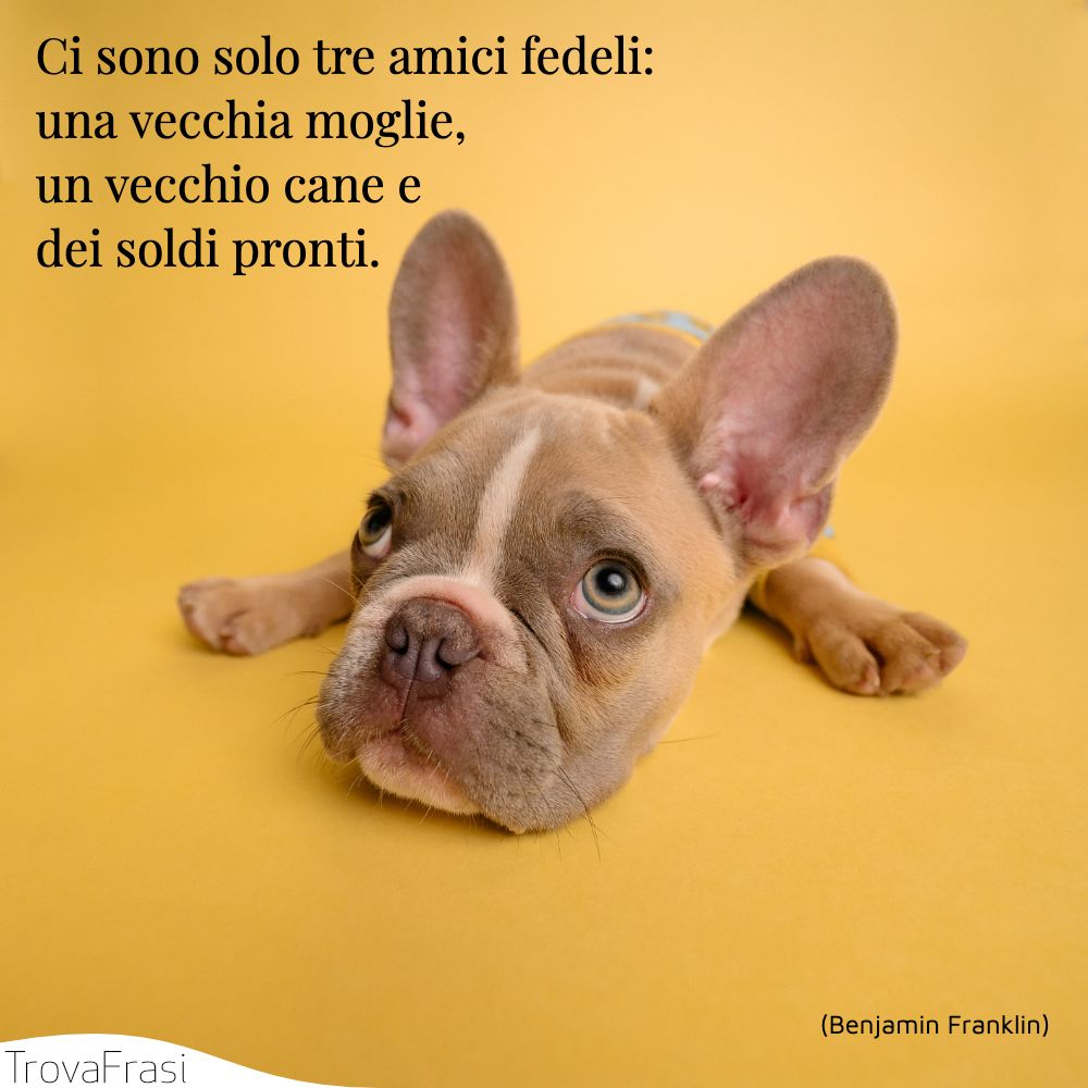 Ci sono solo tre amici fedeli: una vecchia moglie, un vecchio cane e dei soldi pronti.