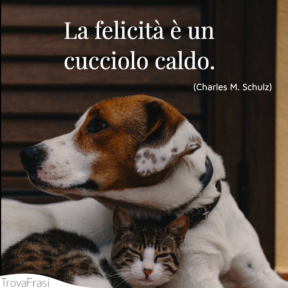La felicità è un cucciolo caldo.