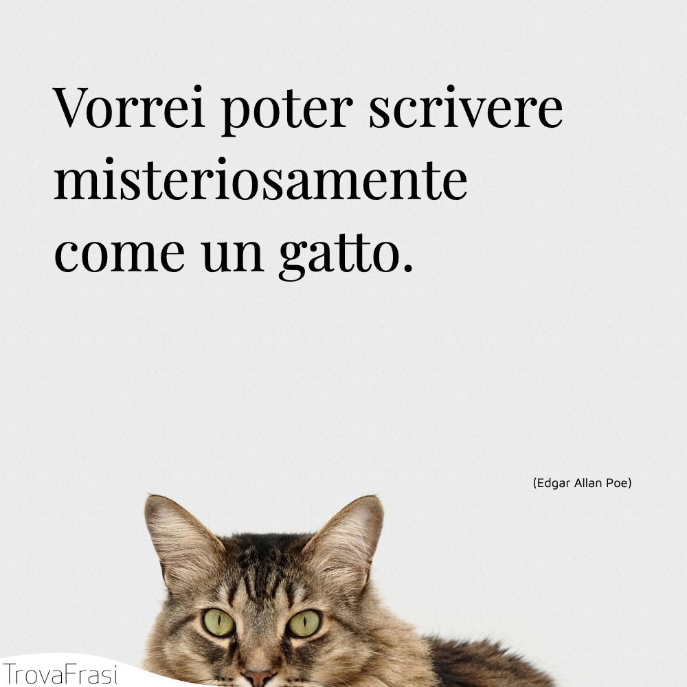 Vorrei poter scrivere misteriosamente come un gatto.
