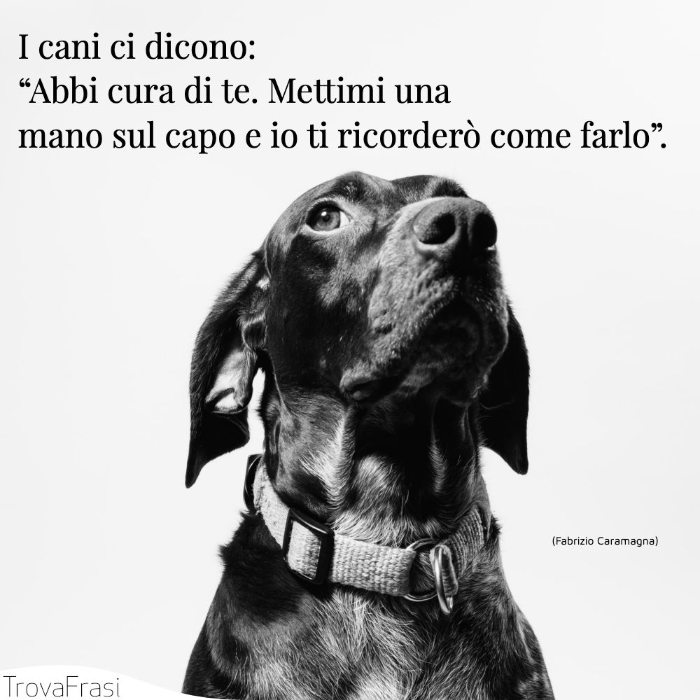 I cani ci dicono: “Abbi cura di te. Mettimi una mano sul capo e io ti ricorderò come farlo”.