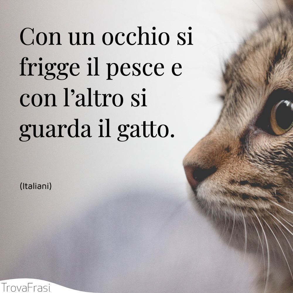 Con un occhio si frigge il pesce e con l’altro si guarda il gatto.