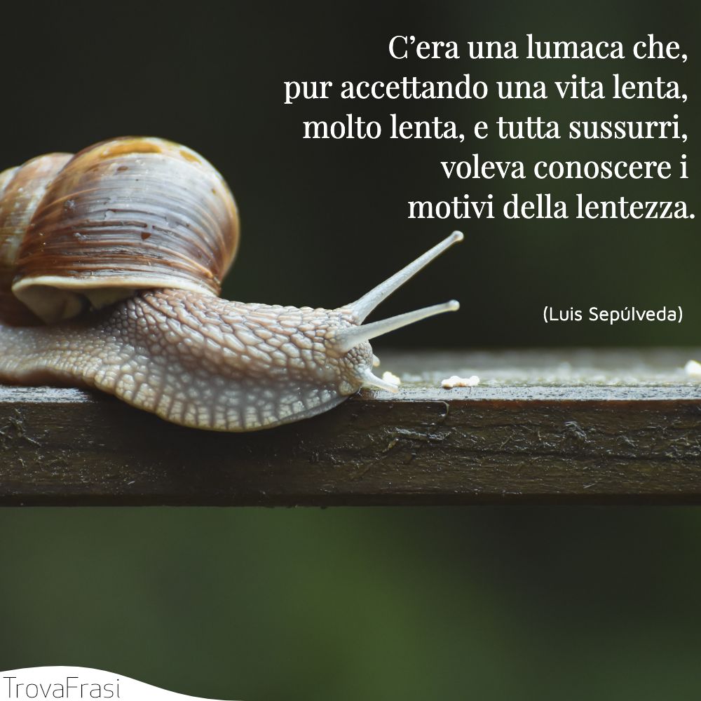 C’era una lumaca che, pur accettando una vita lenta, molto lenta, e tutta sussurri, voleva conoscere i motivi della lentezza.