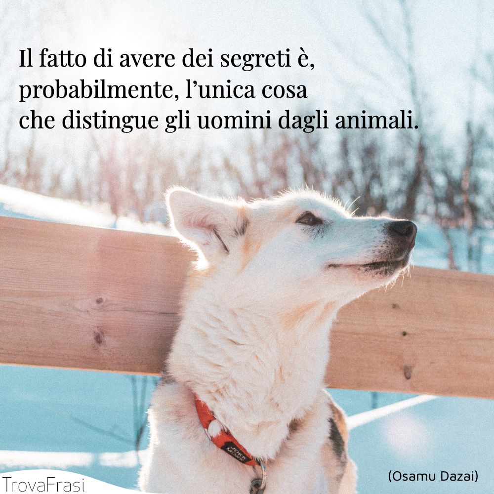 Il fatto di avere dei segreti è, probabilmente, l’unica cosa che distingue gli uomini dagli animali.