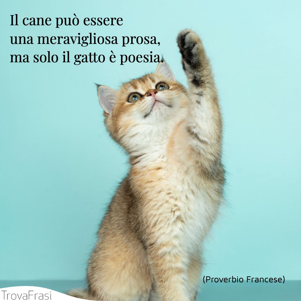 Il cane può essere una meravigliosa prosa, ma solo il gatto è poesia.