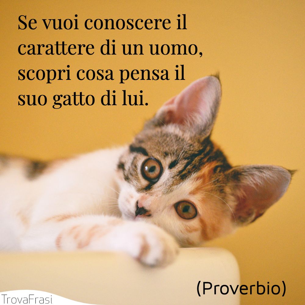 Se vuoi conoscere il carattere di un uomo, scopri cosa pensa il suo gatto di lui.